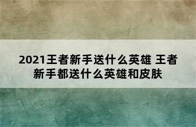 2021王者新手送什么英雄 王者新手都送什么英雄和皮肤